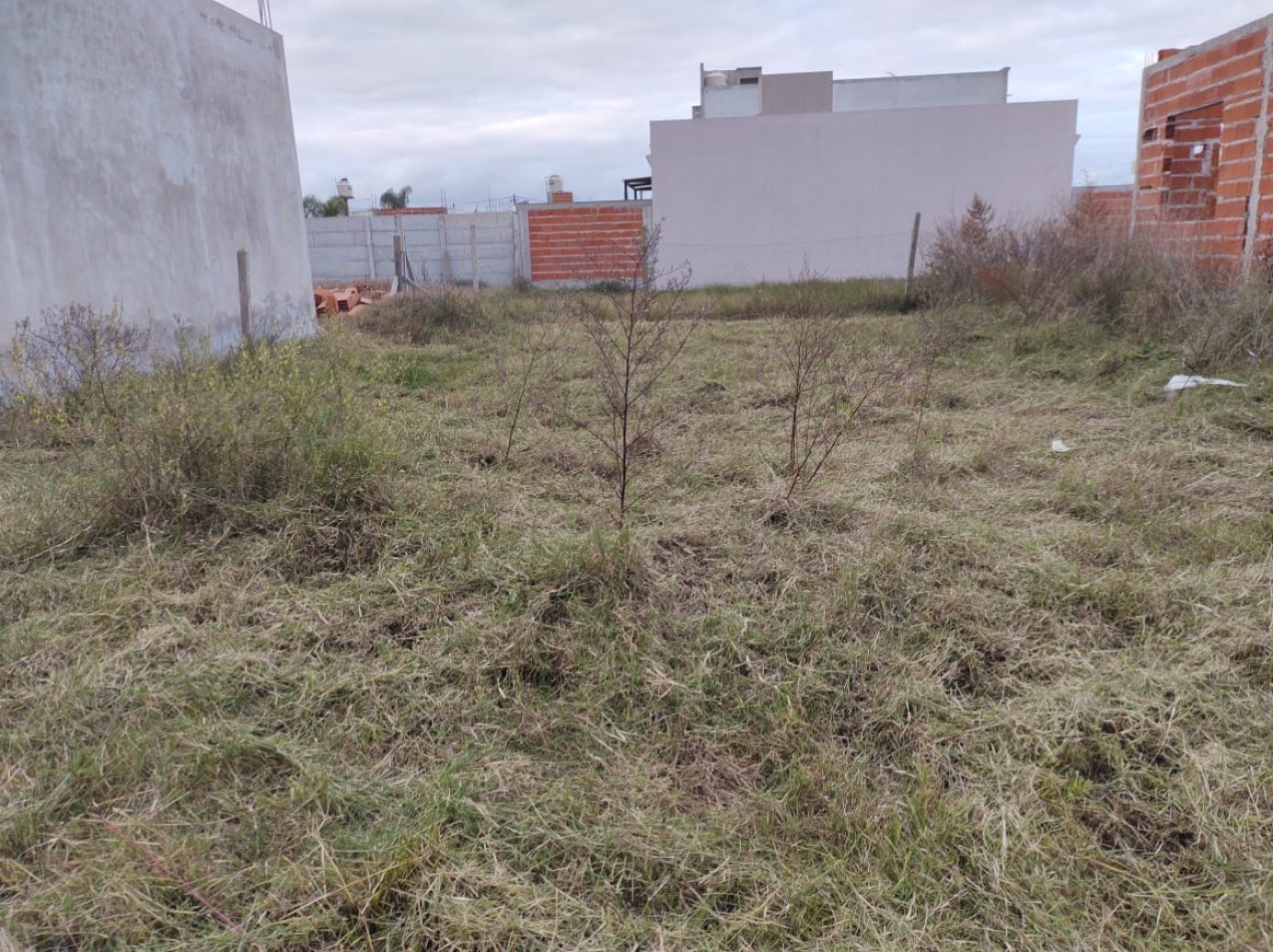 Calle 6 y 472